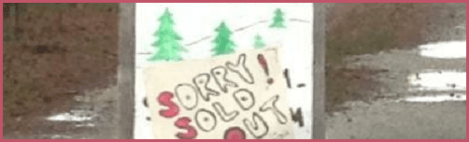 Red_Tree farm_2012-12-10