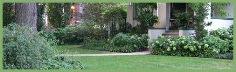 Green_flower_2012-08-02