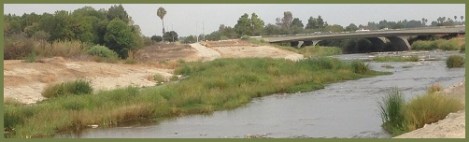 Green_LA River