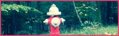 red_hydrant in woods