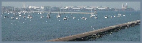 Gray_Navy Pier_2012-08-03