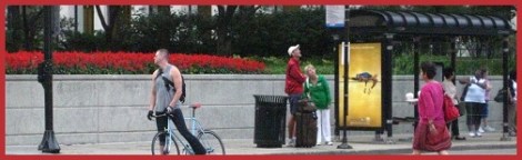 Red_city flowers_2012-08-02