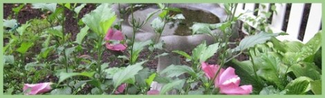 green_bird-bath_2012-08-01