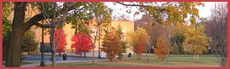 orange_rogers-school_2011-11-06