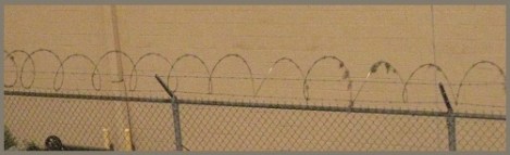 gray_razor-wire_2012-08-26