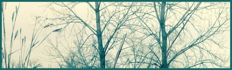 green_bare-trees
